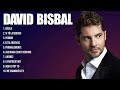 David Bisbal Latin Songs Playlist Full Album ~ Best Songs Collection Of All Time