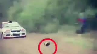Оллох можизалари чудо Аллаха