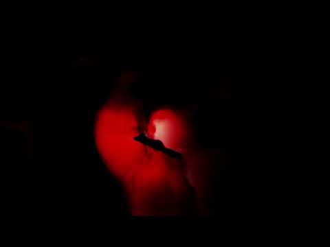 A reason why I didn’t upload in a while,