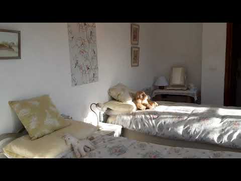 AX1052 - Casita inside