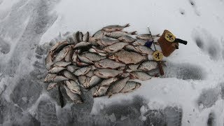 Рыбалка двуреченское водохранилище