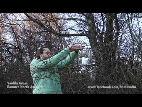 Kūčios / Kalėda greetings from Romuva North America and Vaidla Arbas