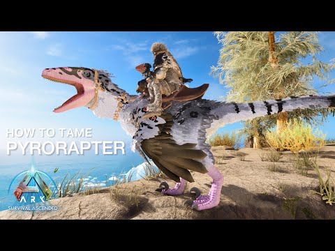 Pyroraptor Taming Guide & Abilities in Ark Survival Ascended ll Prehistoric Beasts ASA