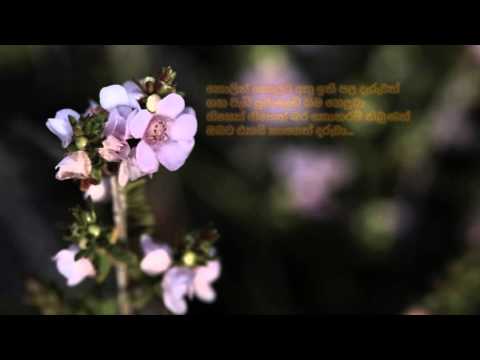 Bari Bara Hindayi Daruwan Dunne - බැරි බර හින්දයි දරුවන් දුන්නේ