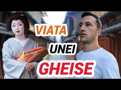 Ce sunt de fapt GHEISELE si CATI BANI CASTIGA in Japonia?
