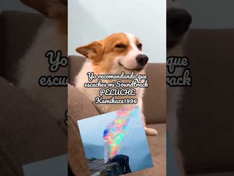Escucha mi Soundtrack Peluche #kk96  #memes #dogmemes #bandlabartist🔥 #weirdcore #indiemusic