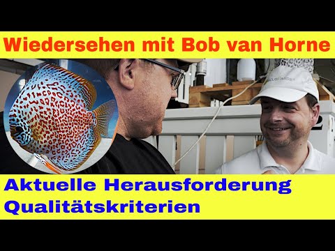 Discus Keeping and Breeding: Challenges and Tips for 2024 with Bob van Horne | Discus Championship