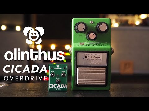 Olinthus Cicada - World's Smallest Overdrive (Tube Screamer) Like New image 2