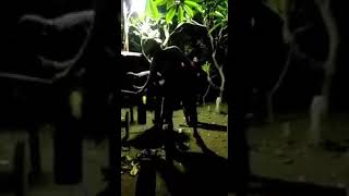 Download lagu Video lucu bangunin sahur di kuburan mp3