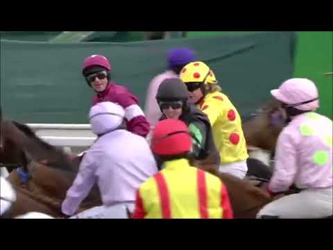 Cinders And Ashes Supreme Novice Hurdle 2012