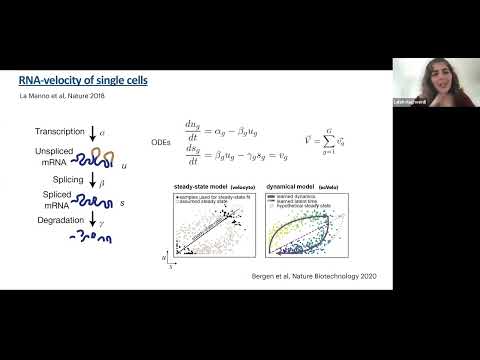 SCOG Virtual Lecture Series - Laleh Haghverdi (BIMSB/MDC, Berlin)