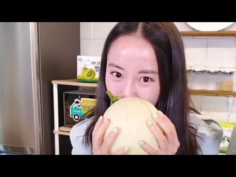 비디오 5