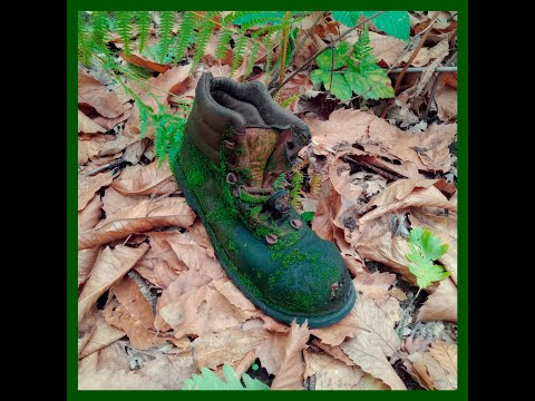 video frame placeholder