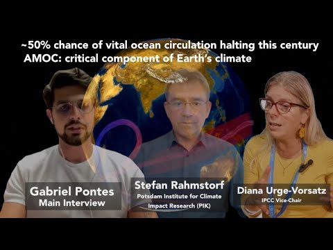 ~50% di probabilità che la circolazione oceanica vitale si arresti | AMOC: componente fondamental...
