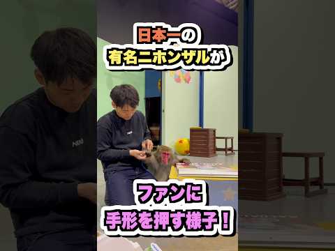 日本で最も有名なニホンザルのサイン会