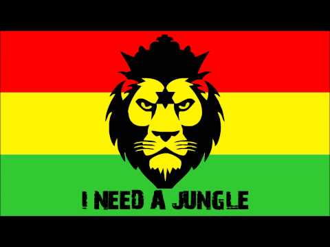 Top Cat - A Friend in Need (DJ Panik & M-Rode remix) ♫I NEED A JUNGLE♫