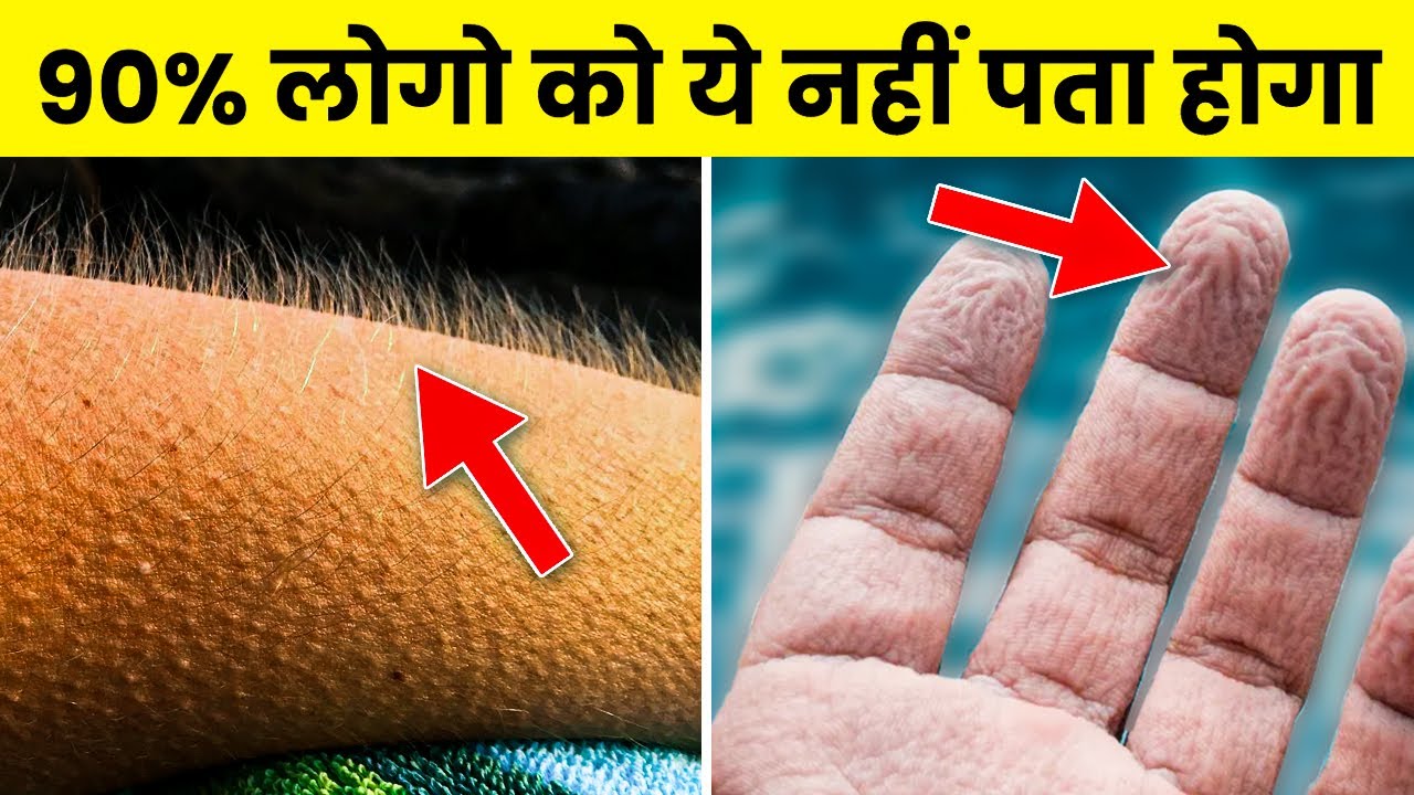 शरीर से जुड़े ये फैक्ट आपके होश उड़ा देंगे | Amazing Facts About the Human Body | Rewirs Facts