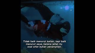 Download lagu Story wa ikan cupang mp3 Download lagu Story wa ikan cupang mp3