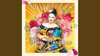 Amiga del Olvido Music Video