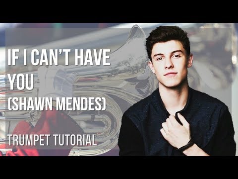How to play If I Can't Have You by Shawn Mendes on Trumpet (Tutorial)