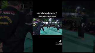 Download lagu tendangan mas #DENI#APRISANI keras bangat#PSHT mp3 Download lagu tendangan mas #DENI#APRISANI keras bangat#PSHT mp3
