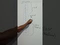 PH SCALE Science Chemistry Gk Education Education Tricks Govtjobs Ph Elixircircle17