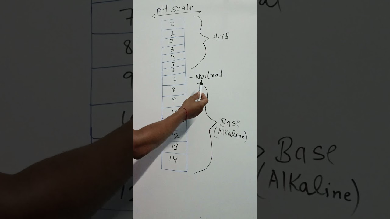 PH SCALE 😱😱 #science #chemistry #gk #education #education #tricks #govtjobs #ph@elixircircle17