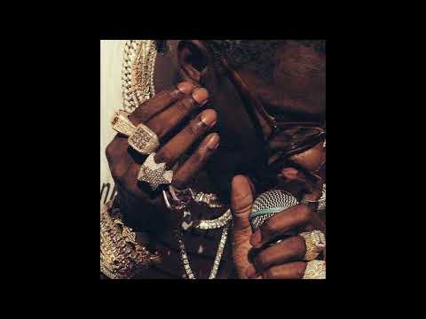 Gunna x Young Thug x Drake Type Beat - Golden (prod. flowerz)
