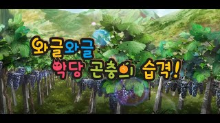 와글와글 악당곤충의 습격!