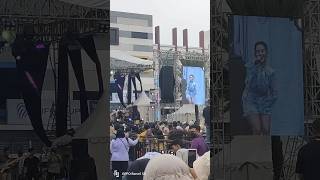 Download lagu if we never try Ziva magnolya fall in love alone || tangcity music festival ~ Stacey Ryan mp3