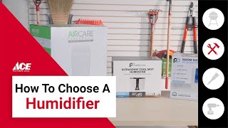 How To Choose A Humidifier | Ace Hardware