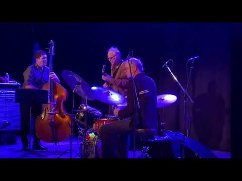 Bill Frisell Trio feat. Kenny Wolleson and Tony Scherr (solo)