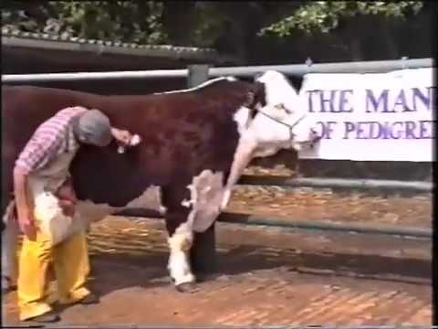 Outskirts of Hook Norton