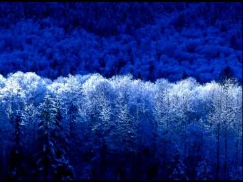 Roul and Doors Assiduity(Original Mix)