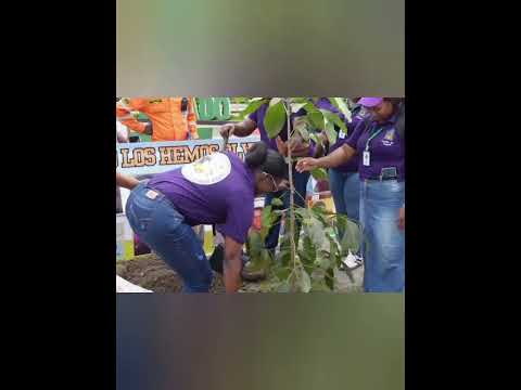 BAGADÓ HONRA A SUS VÍCTIMAS Y REAFIRMA SU CAMINO HACIA LA PAZ