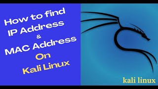 How to Find IP Address and MAC Address on Kali Linux