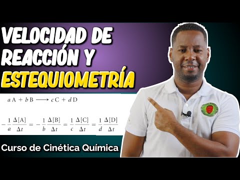 VELOCIDAD DE REACCIÓN y ESTEQUIOMETRÍA | Curso de Cinética Química