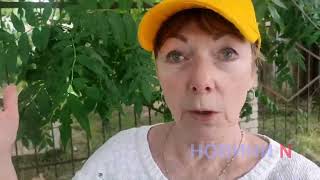 «Жест отчаяния»: в Николаеве жители дома из-за отсутствия газа вышли перекрывать проезжую часть (видео)