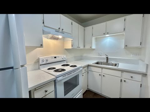 237 - VIP Future, LP (Orange Gardens) - Video 2 of 2
