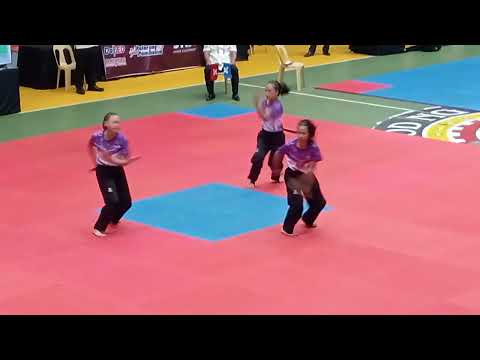 The moves of the Champs Team Synchronized SG #2024PalarongPambansa #arnis #sports #martialarts