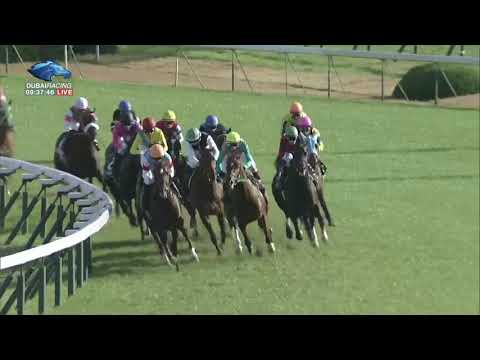 2017.11.12 Kigiku Sho (JPN) - Jun Valerot