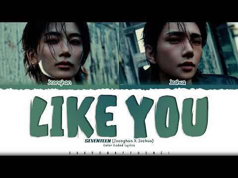 JEONGHAN x JOSHUA (SEVENTEEN) 'Like you' Lyrics (세븐틴 Like you 가사) [Color Coded Han_Rom_Eng]