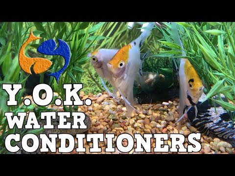 YouTube video about: How long after putting water conditioner can I add fish?