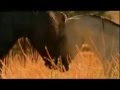 Belong Wmv