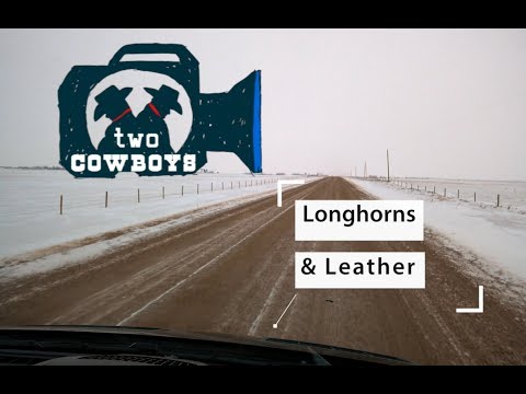 Two Cowboys: Every Cow and Bull Mount Comes With a Story at Longhorns and Leather in Coronation, AB