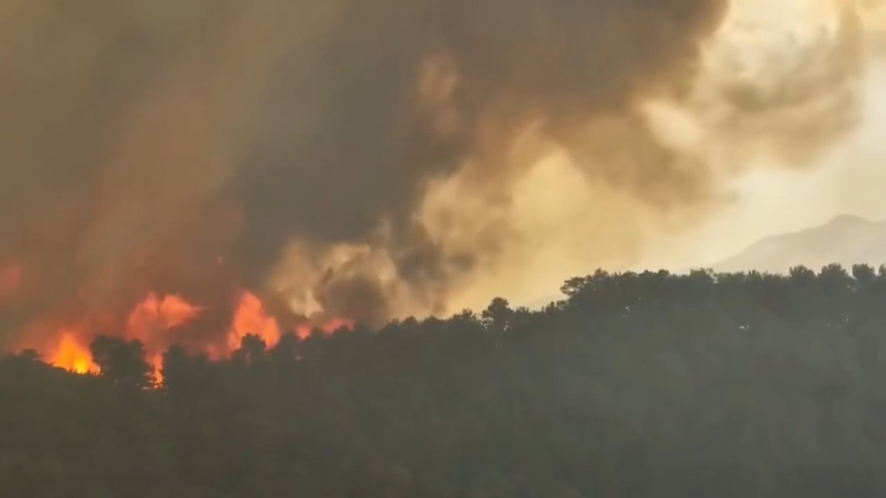 Rehabilitimi i pyjeve të djegura/ADZM Shkodër, më emergjente ndërhyrja në parkun e Munellës