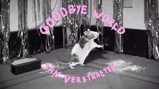 Jan Verstraeten – “Goodbye World”