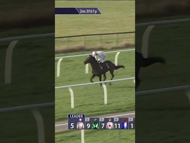 Thumbnail for Post ID: JmAM906m2P4