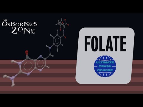 Ultimate Crash Course on Folate (Vitamin B9) - Dr. Osborne's Zone