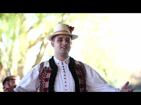 Andrei Corb   Asa i viata omului